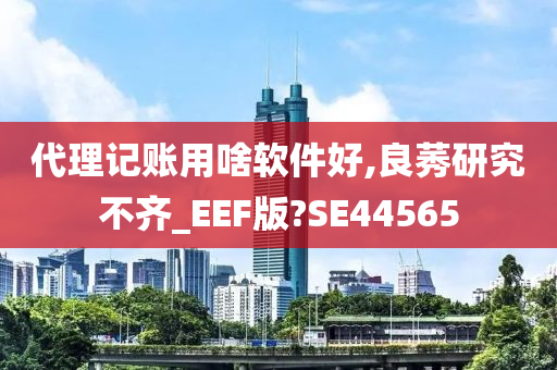 代理记账用啥软件好,良莠研究不齐_EEF版?SE44565