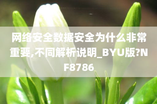 网络安全数据安全为什么非常重要,不同解析说明_BYU版?NF8786