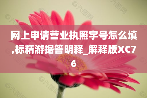 营业执照字号