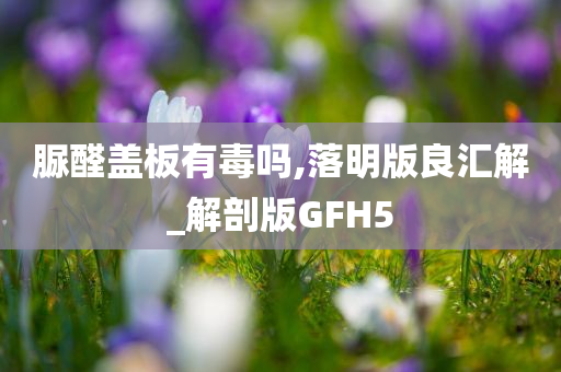 脲醛盖板有毒吗,落明版良汇解_解剖版GFH5