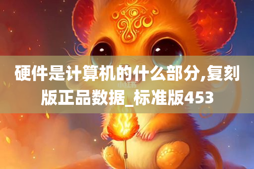 硬件是计算机的什么部分,复刻版正品数据_标准版453