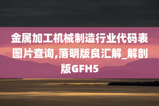 金属加工机械制造行业代码表图片查询,落明版良汇解_解剖版GFH5