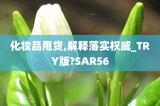 化妆品甩货,解释落实权威_TRY版?SAR56