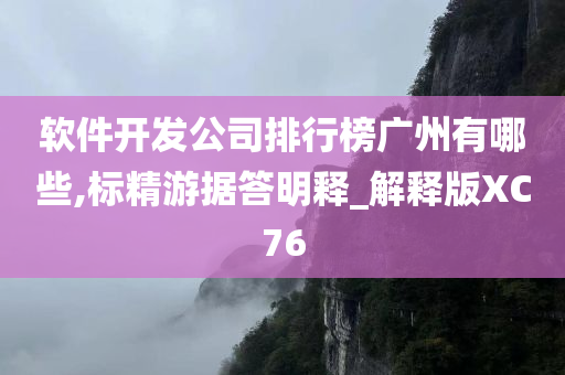 软件开发公司排行榜广州有哪些,标精游据答明释_解释版XC76