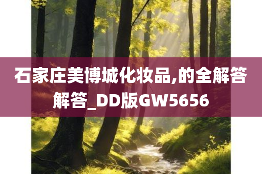 石家庄美博城化妆品,的全解答解答_DD版GW5656