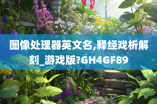 图像处理器英文名,释经戏析解刻_游戏版?GH4GF89