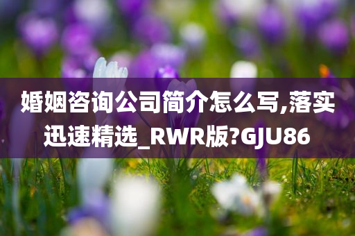 婚姻咨询公司简介怎么写,落实迅速精选_RWR版?GJU86