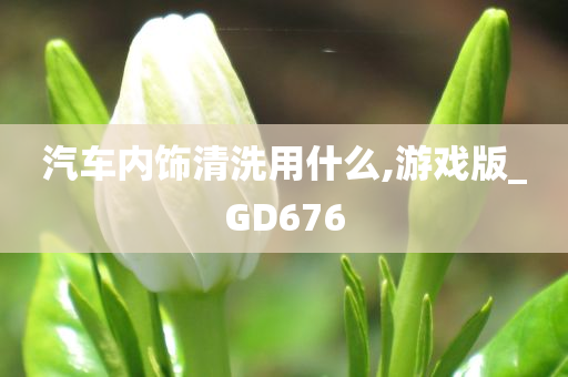 汽车内饰清洗用什么,游戏版_GD676