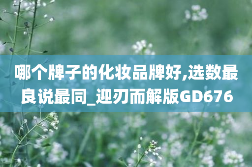 哪个牌子的化妆品牌好,选数最良说最同_迎刃而解版GD676