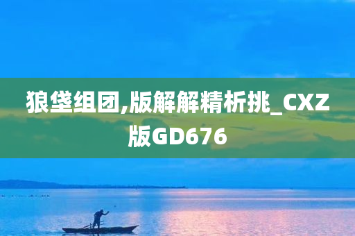 狼垡组团,版解解精析挑_CXZ版GD676