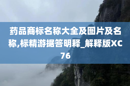 药品商标名称大全及图片及名称,标精游据答明释_解释版XC76