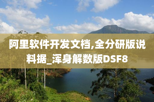 阿里软件开发文档,全分研版说料据_浑身解数版DSF8