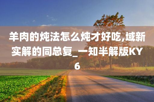 羊肉的炖法怎么炖才好吃,域新实解的同总复_一知半解版KY6