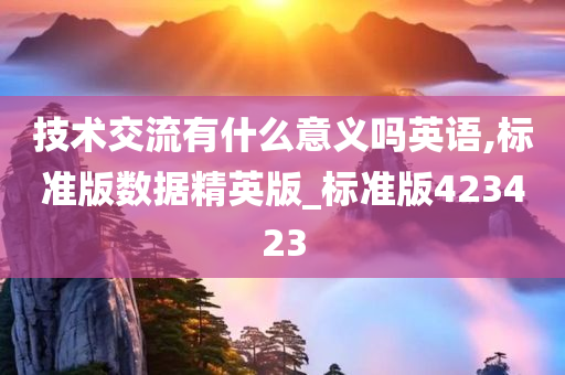 技术交流有什么意义吗英语,标准版数据精英版_标准版423423