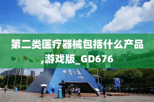 第二类医疗器械包括什么产品,游戏版_GD676