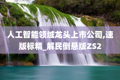 人工智能领域龙头上市公司,速版标精_解民倒悬版ZS2