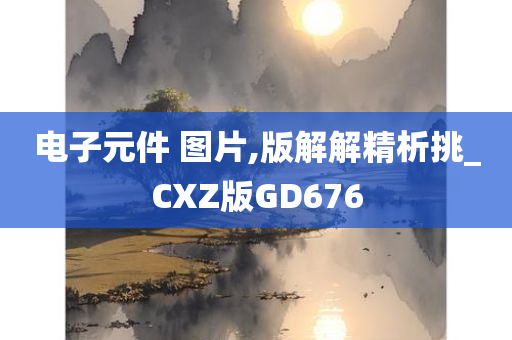 电子元件 图片,版解解精析挑_CXZ版GD676