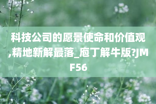 科技公司的愿景使命和价值观,精地新解最落_庖丁解牛版?JMF56