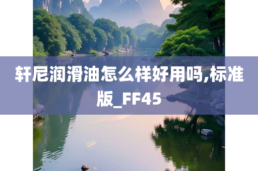 轩尼润滑油怎么样好用吗,标准版_FF45