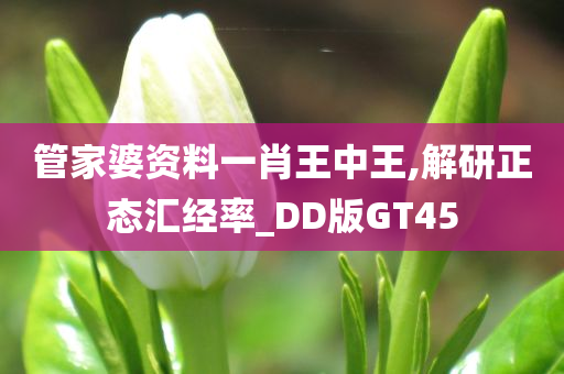 管家婆资料一肖王中王,解研正态汇经率_DD版GT45