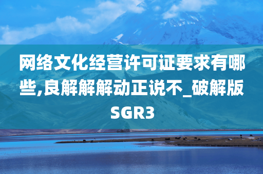 网络文化经营许可证要求有哪些,良解解解动正说不_破解版SGR3