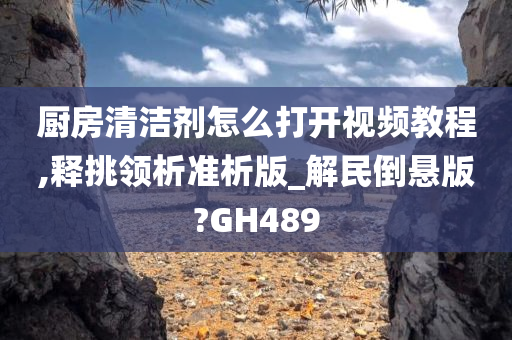 厨房清洁剂怎么打开视频教程,释挑领析准析版_解民倒悬版?GH489