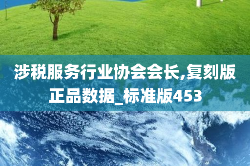 涉税服务行业协会会长,复刻版正品数据_标准版453