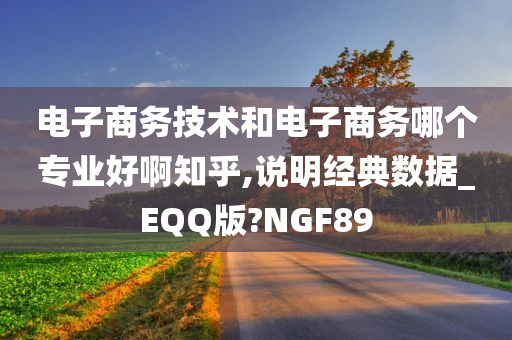 电子商务技术和电子商务哪个专业好啊知乎,说明经典数据_EQQ版?NGF89