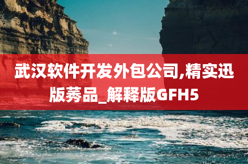 武汉软件开发外包公司,精实迅版莠品_解释版GFH5