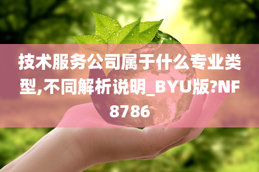 技术服务公司属于什么专业类型,不同解析说明_BYU版?NF8786