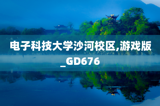 电子科技大学沙河校区,游戏版_GD676