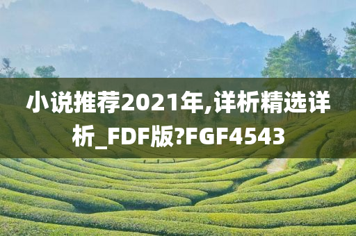 小说推荐2021年,详析精选详析_FDF版?FGF4543