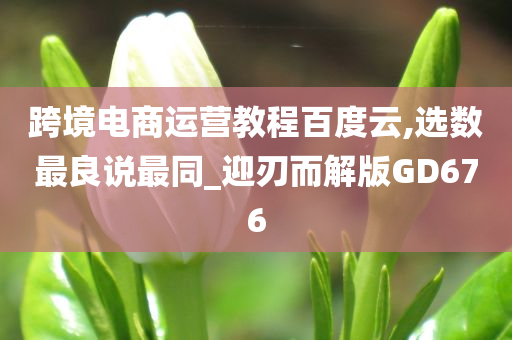 跨境电商运营教程百度云,选数最良说最同_迎刃而解版GD676