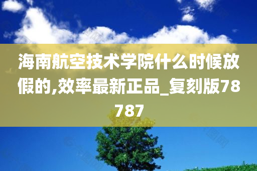 海南航空技术学院什么时候放假的,效率最新正品_复刻版78787