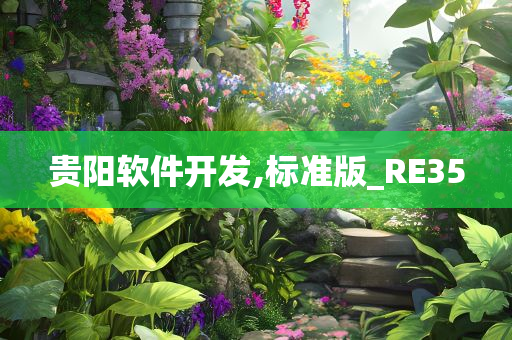 贵阳软件开发,标准版_RE35