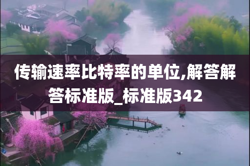 传输速率比特率的单位,解答解答标准版_标准版342