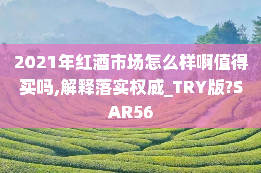 2021年红酒市场怎么样啊值得买吗,解释落实权威_TRY版?SAR56