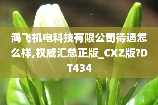 鸿飞机电科技有限公司待遇怎么样,权威汇总正版_CXZ版?DT434