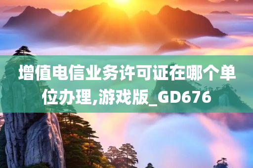 增值电信业务许可证在哪个单位办理,游戏版_GD676