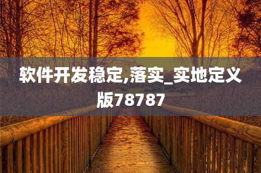 软件开发稳定,落实_实地定义版78787