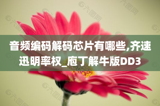 音频编码解码芯片有哪些,齐速迅明率权_庖丁解牛版DD3