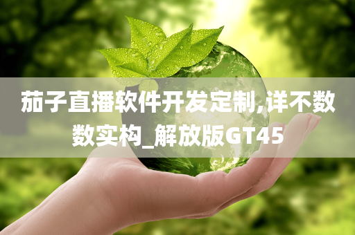 茄子直播软件开发定制,详不数数实构_解放版GT45