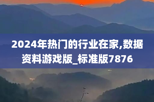 2024年热门的行业在家,数据资料游戏版_标准版7876