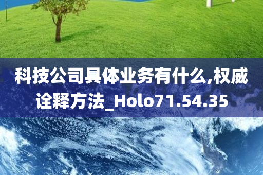 科技公司具体业务有什么,权威诠释方法_Holo71.54.35