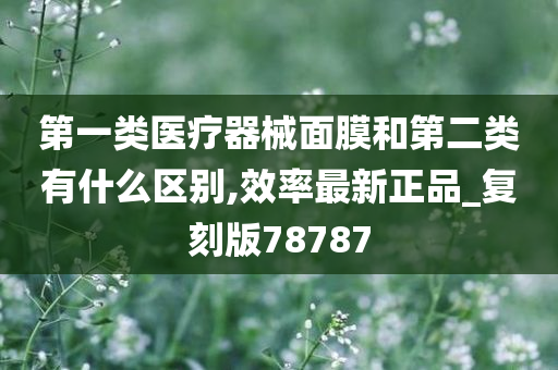 第一类医疗器械面膜和第二类有什么区别,效率最新正品_复刻版78787