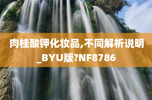 肉桂酸钾化妆品,不同解析说明_BYU版?NF8786