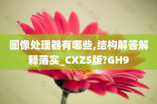 图像处理器有哪些,结构解答解释落实_CXZS版?GH9