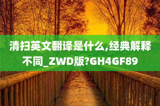 清扫英文翻译是什么,经典解释不同_ZWD版?GH4GF89