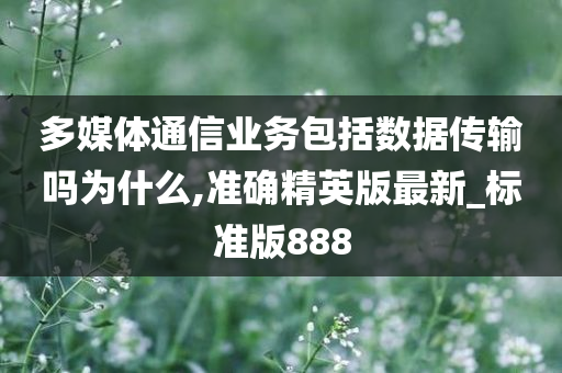 多媒体通信业务包括数据传输吗为什么,准确精英版最新_标准版888