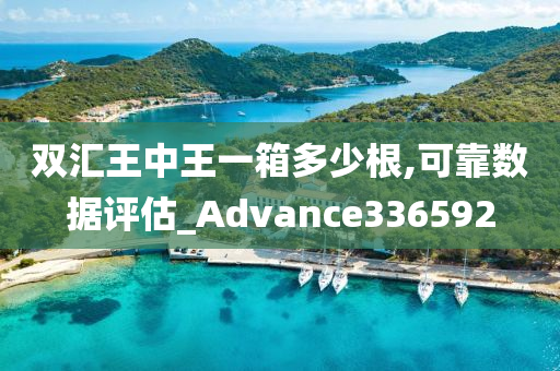 双汇王中王一箱多少根,可靠数据评估_Advance336592